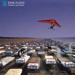 A Momentary Lapse Of Reason [LP] (Vinyl)